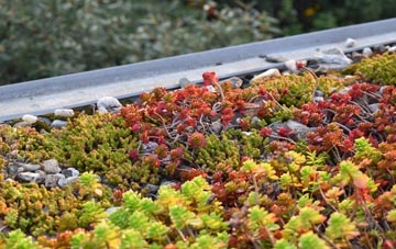 the cost of Culmore green roof installation