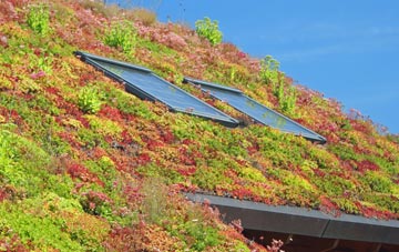 Culmore living roof systems