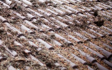 Culmore roof cleaning companies