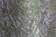 Culmore fibreglass roof work